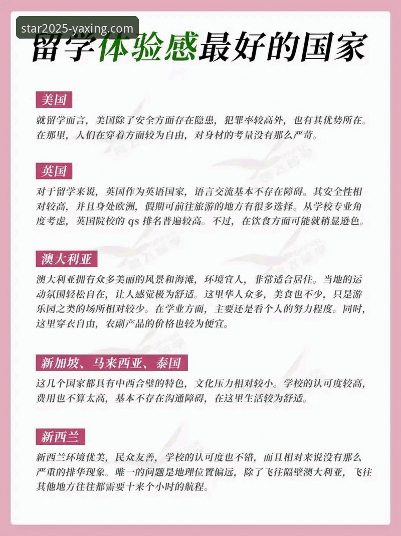 亚星官方平台2025全新版上线：资深用户深度体验与实用指南